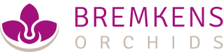 Logo Bremkens-Orchids